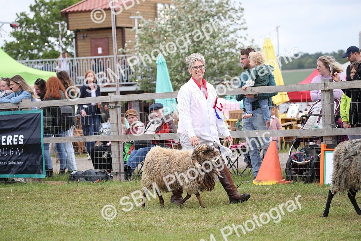 SBM_07794 - Grand Parade