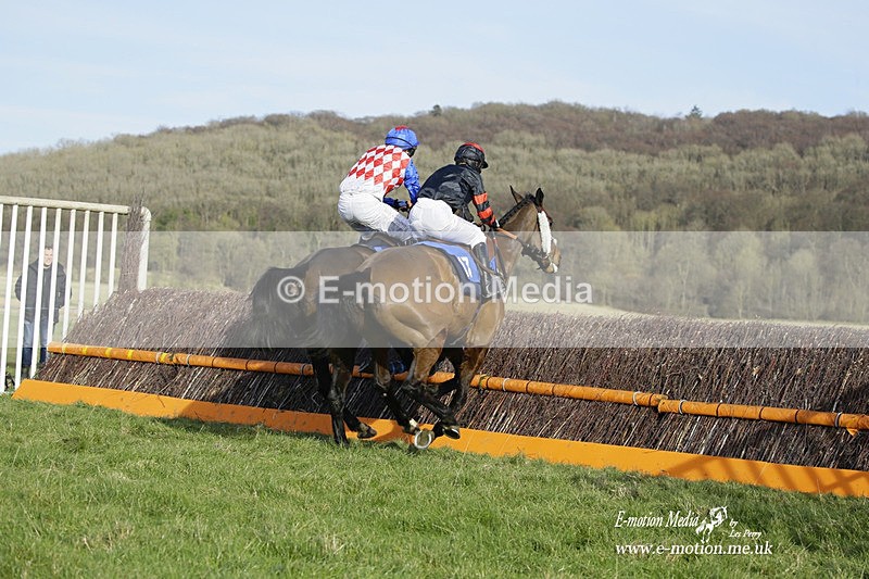 PtP 260222 711 - Kingston Blount Racing Club Point-to-Point 26/02/22