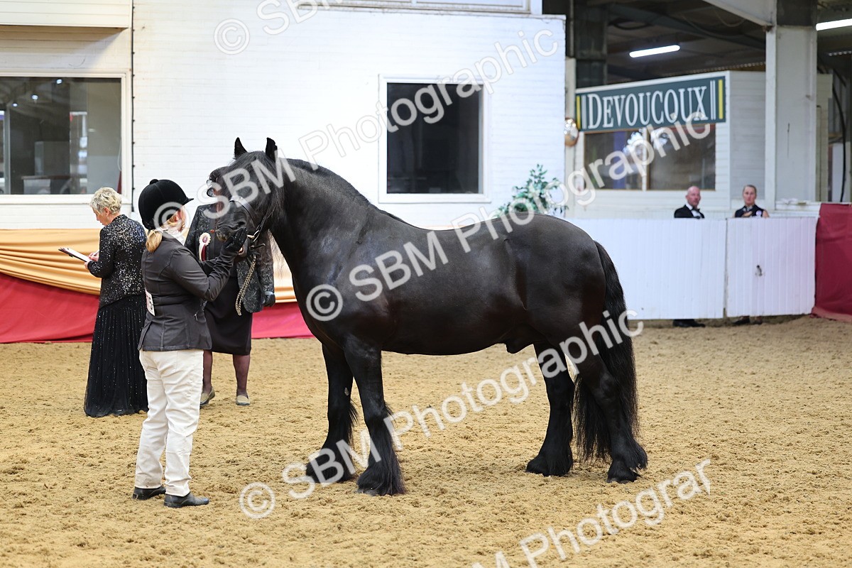 SBM_22895 - Class 903 - Supreme Final - IH Pre Vet