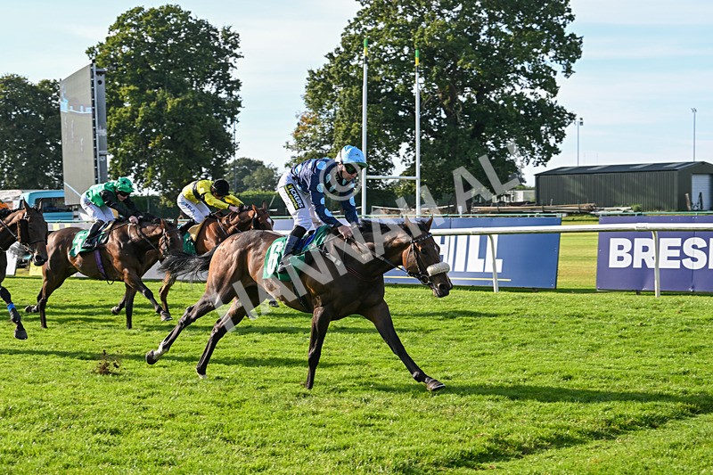 160924-Race 6-Count Palatine-3121 - Race 6
