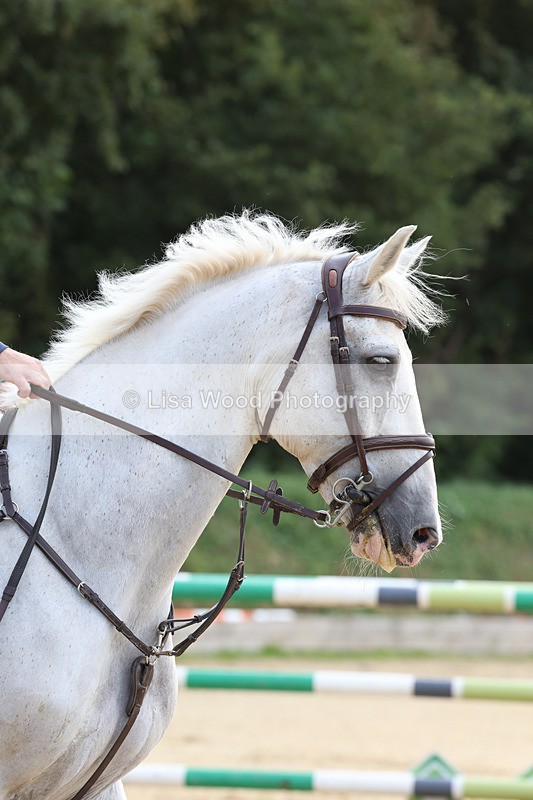 3E7A1814 - Class 9: Senior Foxhunter/1.20 open