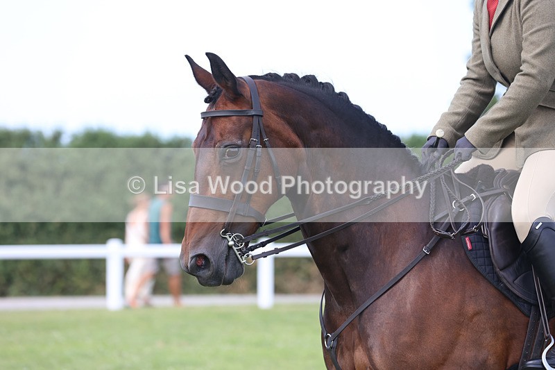 JPP_3777 - Class 23: Working Hunter 80cm