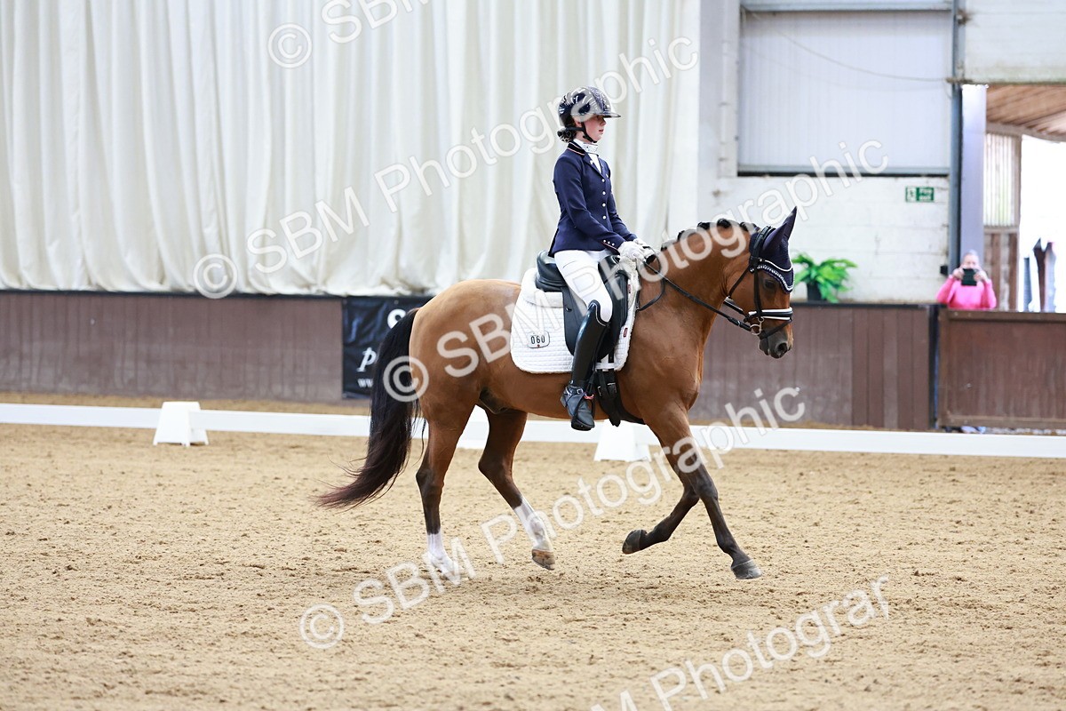 SBM_017256 - Class15 - FEI Pony