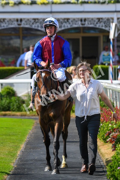 160623-Race 5-Harvanna-0612 - Race 5 4.10pm Juddmonte British EBF Fillies' Restricted Novice Stakes