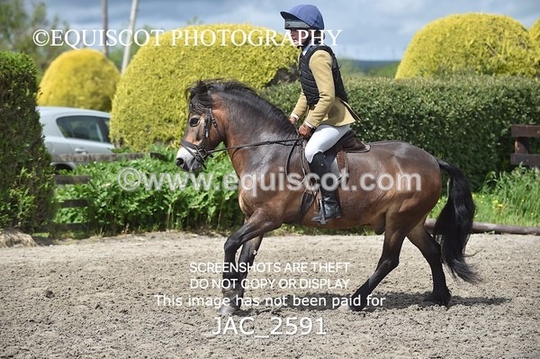 JAC_2591 - CLASS 4 BSPS Scone Palace HT Training Stakes Series