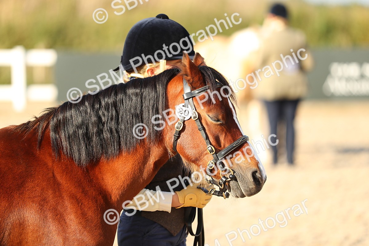 SBM_08982 - Class 29 IH Veteran Pony