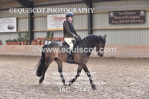 JAC_2447 - CLASS 3 Intermediate Working Hunter
