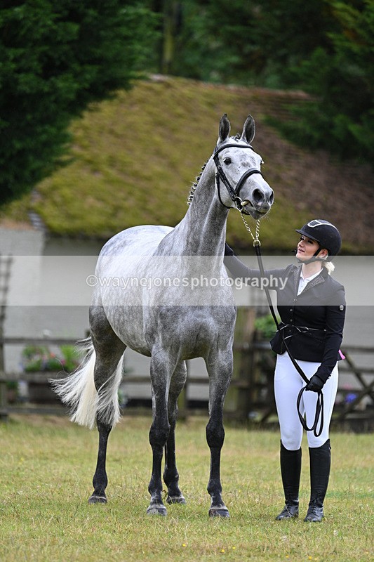 WJ7_6144 - Class 4a Prettiest Mare over 14hh