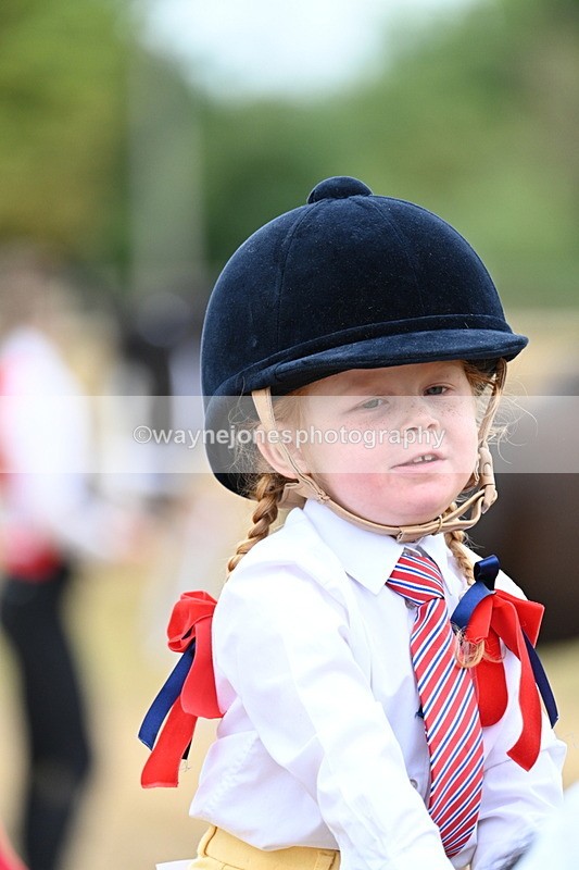 WJ7_8472 - Class 4 Prettiest Mare up to 14.2hh