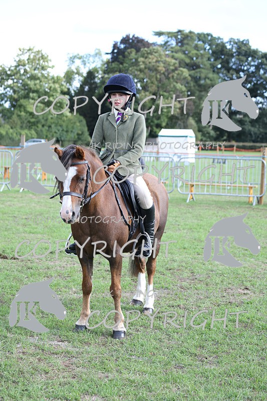 APP_4180 - Class 15a/b Pony club pony/Riding club horse