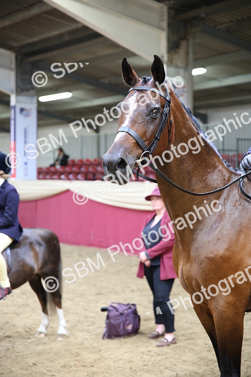 SBM_23364 - Class 904 - Supreme Final Ridden Diamond