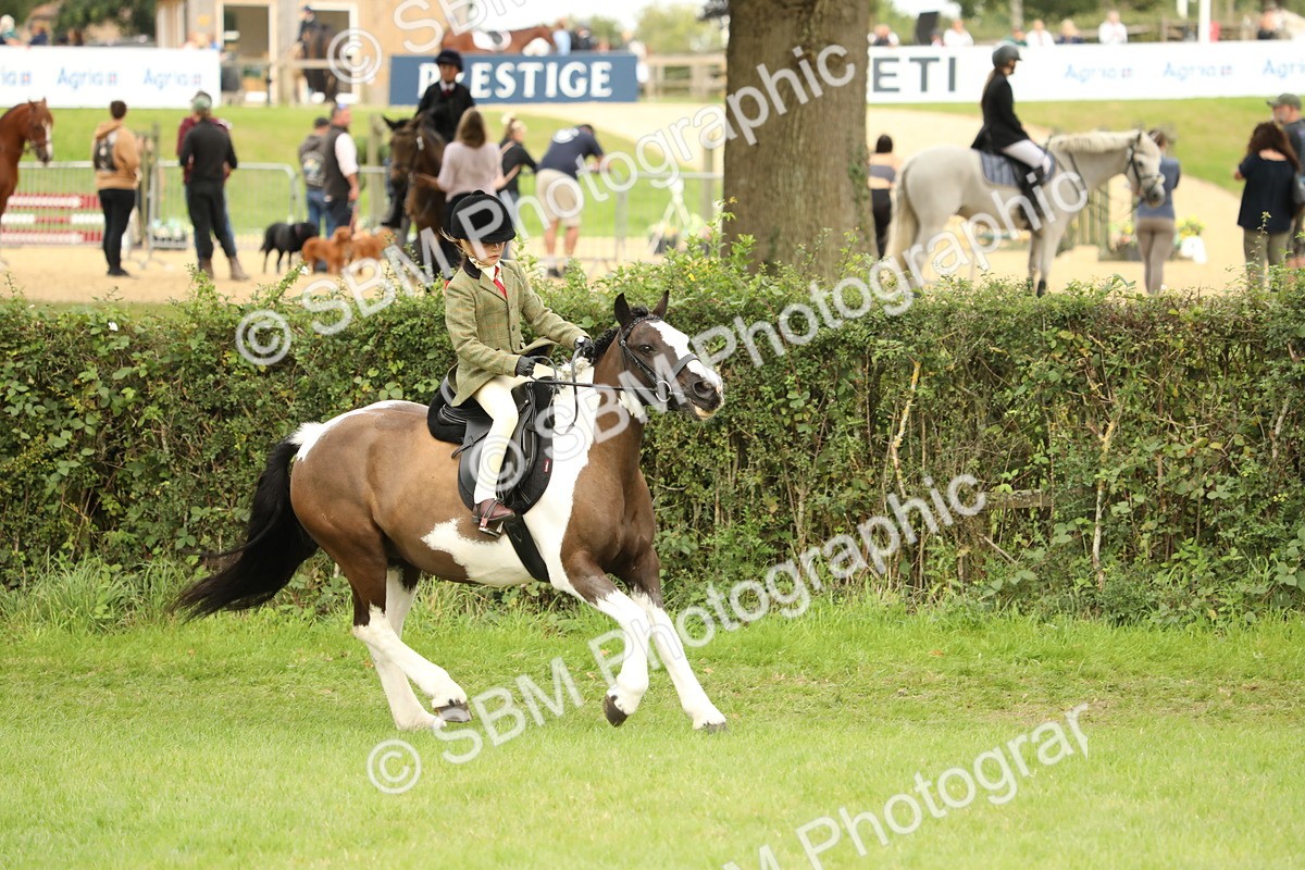 SBM_71573 - S41 - Ridden Equitation (Best Rider)