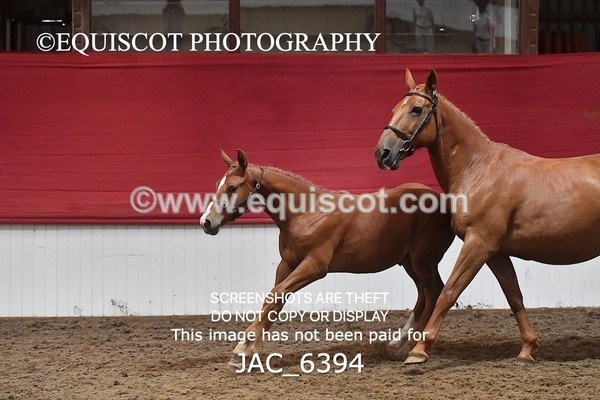 JAC_6394 - 19 Luca