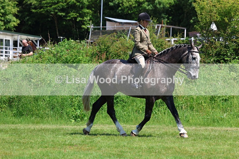 3E7A8228 - Class 13: Ridden Hunter