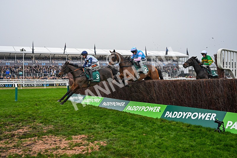 151125-Race 3-Brentford Hope--2997 - Race 3