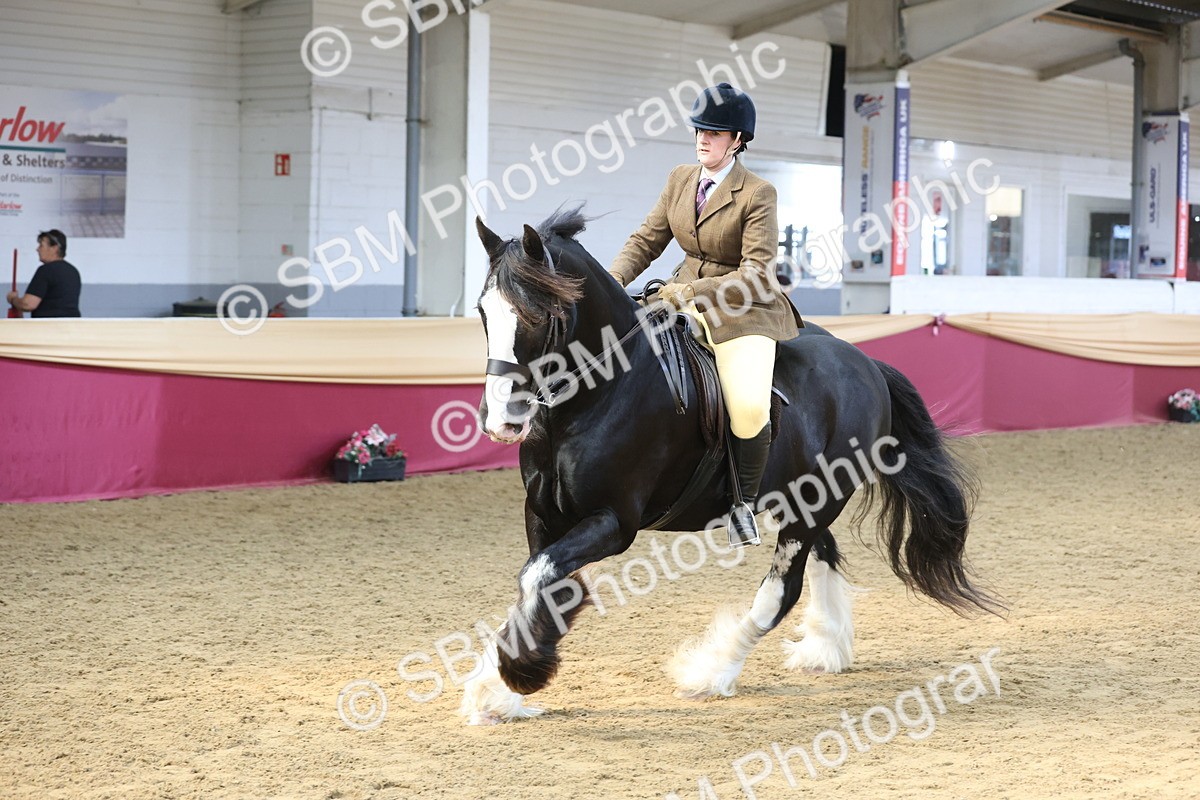 SBM_23807 - class 906 - Supreme Final - Ridden Pre Vet