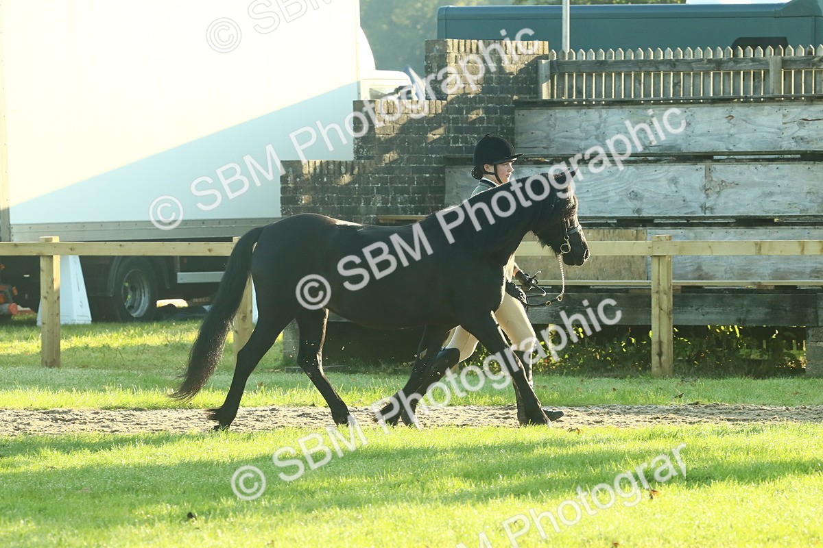 SBM_57394 - S37 - Starters In Hand Showing
