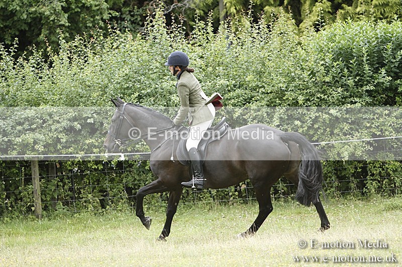 BVR160717-2196 - Ring 3 BVRC Show 16/07/17