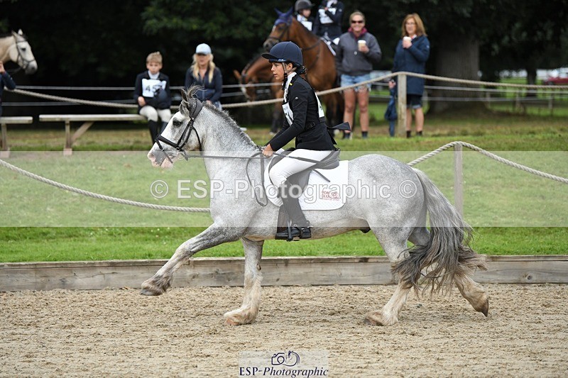 230827-102322-23052 - SJ 10 to 11.30 coursewalk