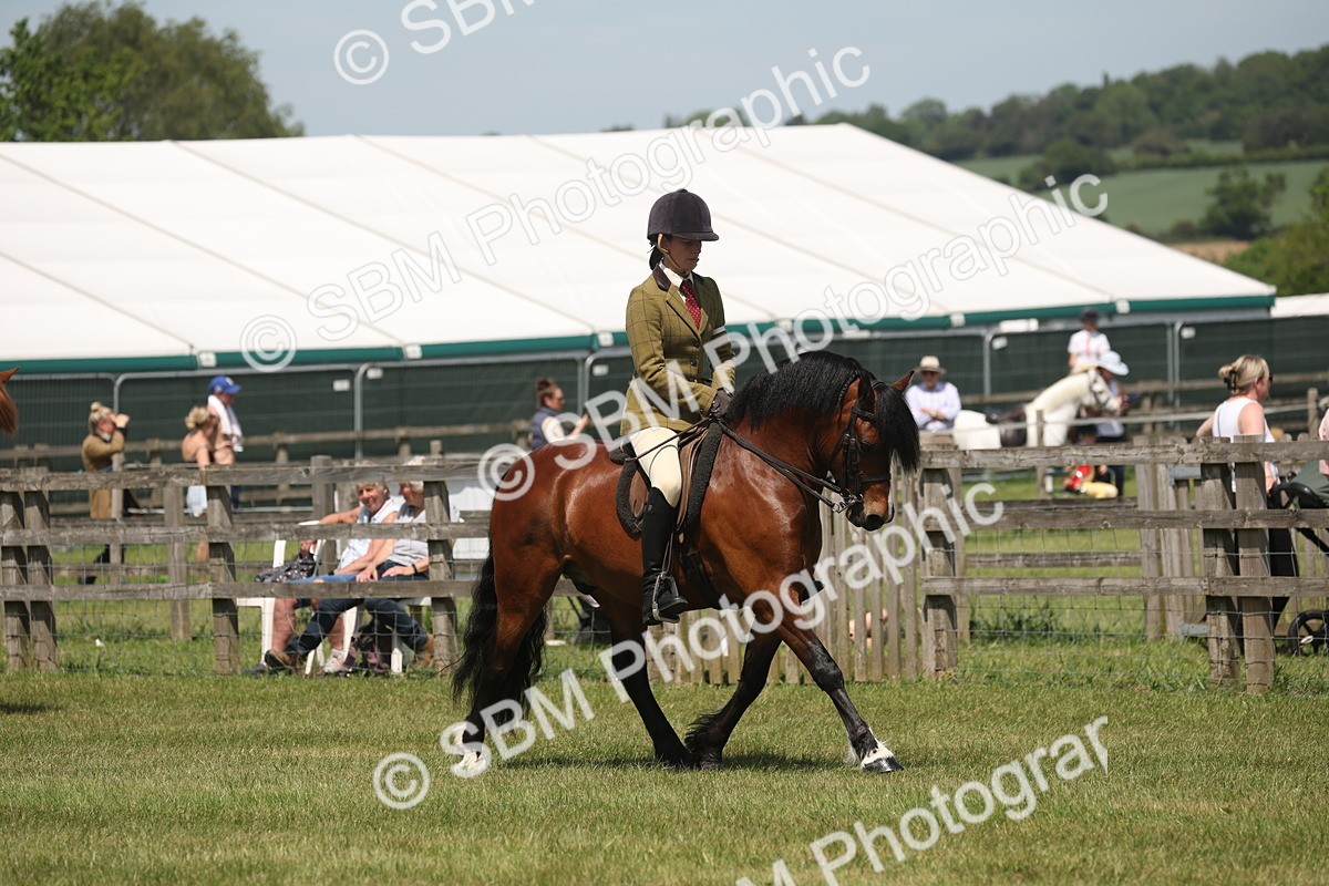 SBM_06889 - Class 26-30 - Mountain and Moorland Ridden