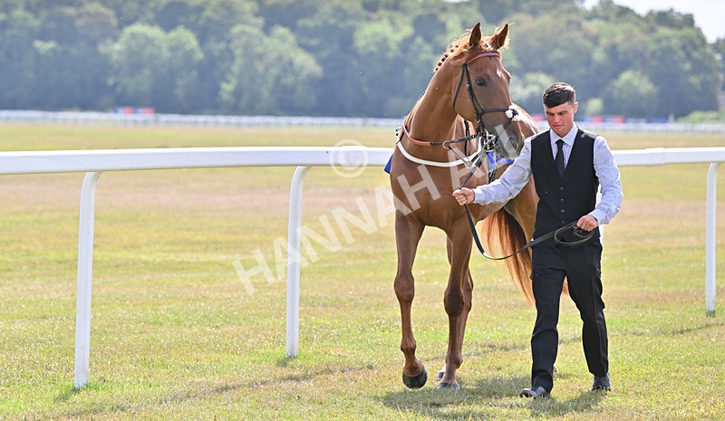 220826-033 Baltic Fleet - Race 2 14.25pm Sky Bet Melrose Handicap