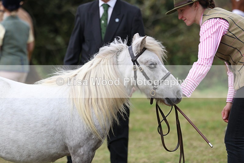 3E7A4459 - Class 15: Three Year Olds