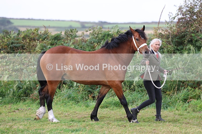 3E7A4010 - Class 15: Two Year Olds