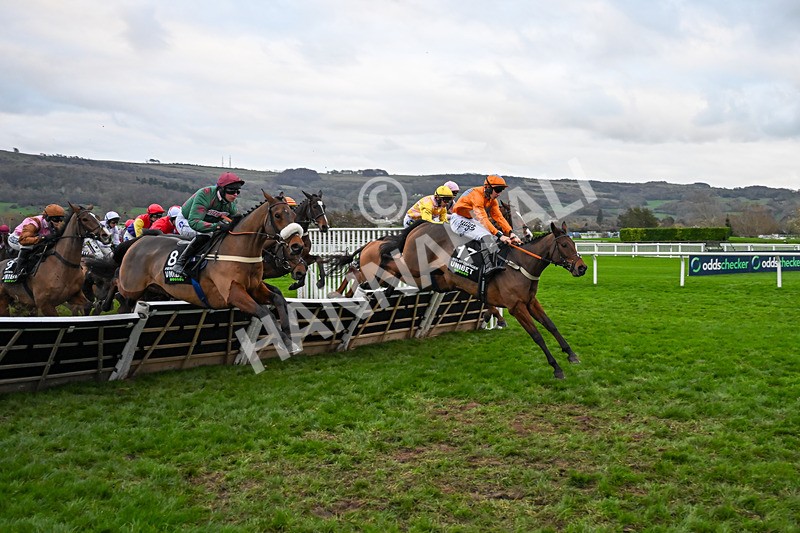 161125-Race 5-Welsh Charger-6340 - Race 5