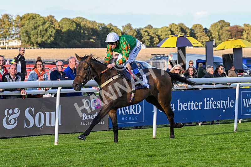 170925-Race 7-Sonic Pioneer-6212 - Race 7