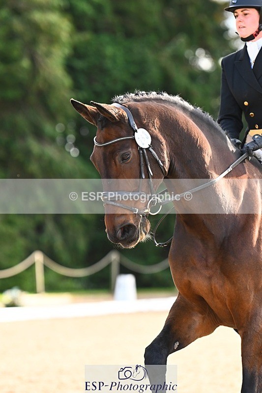 231021-142854-18725 - 253-GEKO-Odette.Orlande-DR