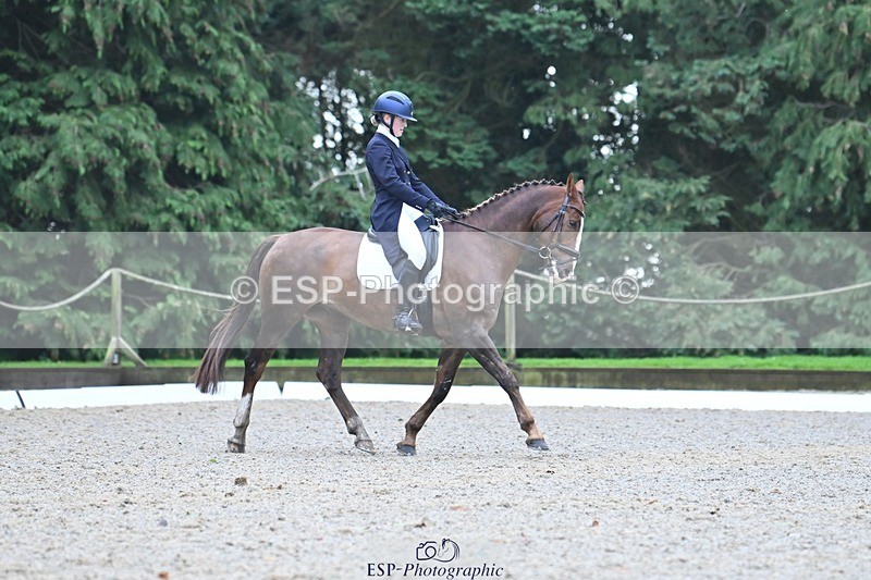 231019-113746-02194 - 110-MARTINS.IRISH.EDDIE-Allegra.Cowley-DR