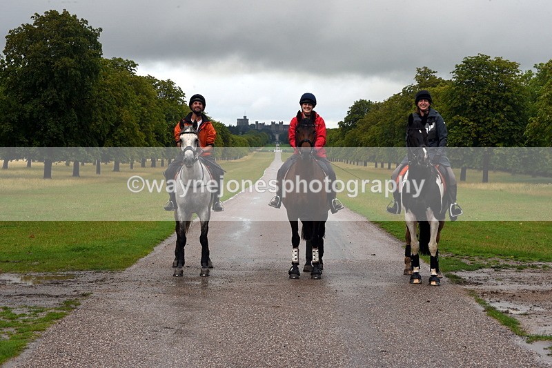 TT3_8919 - Time at Crossing 12:55 to 15:02