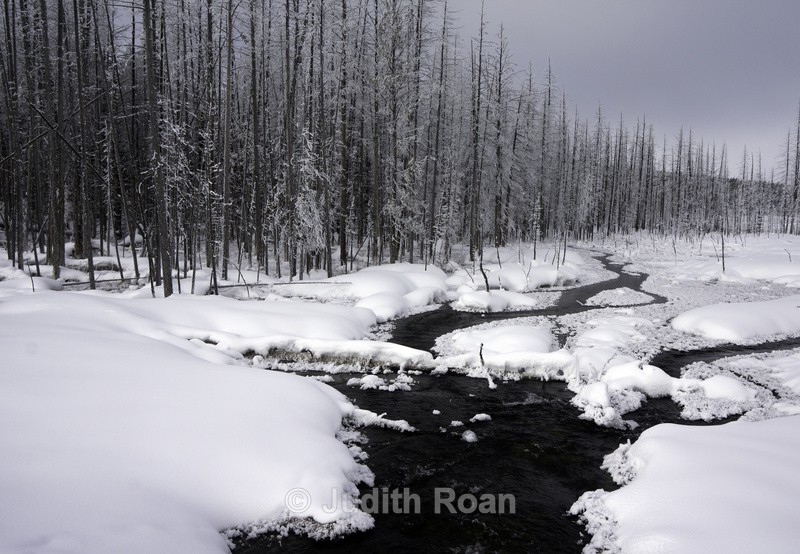 Yellowstone 2017 - Yellowstone
