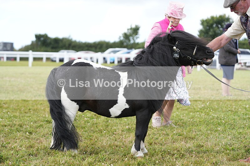 DSC06937 - Class 60: Coloured Pony 4yrs & over