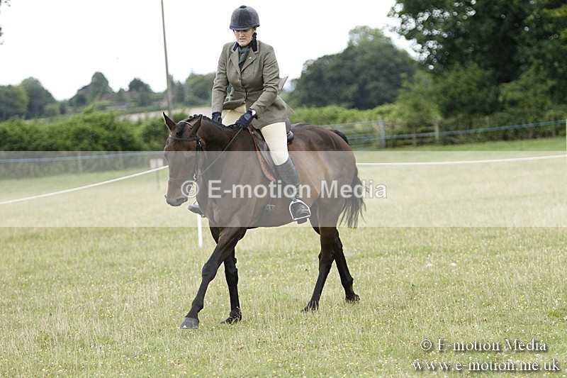 BVR160717-919 - Ring 3 BVRC Show 16/07/17