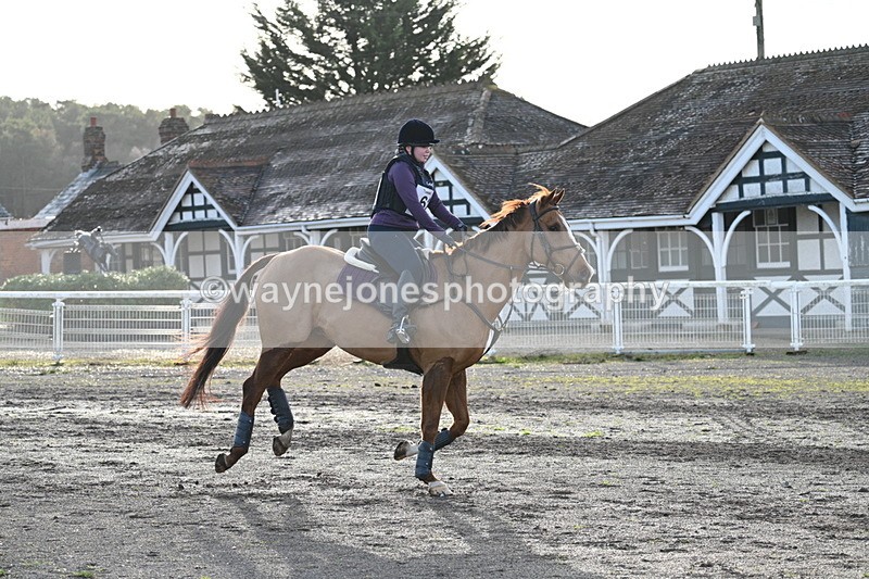 WJ7_0184 - Time 11:49 to 12:09