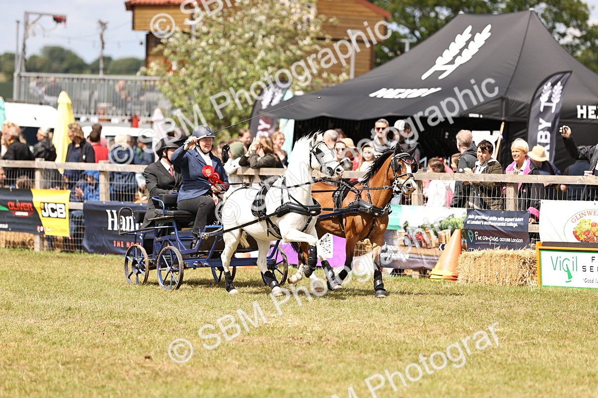 SBM_16125 - Class 91 - Scurry  exceeding 122cms