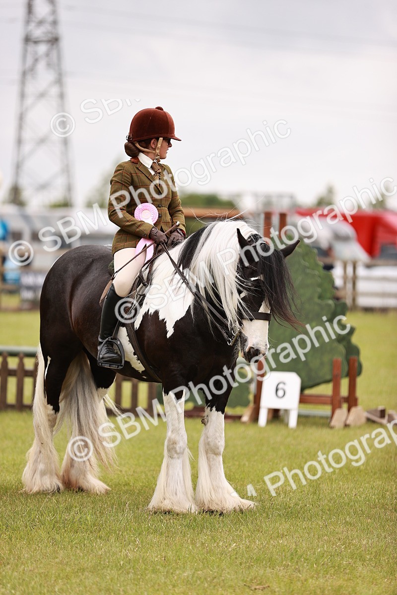 SBM_06250 - Class 39-41 TGCA In Hand and Ridden