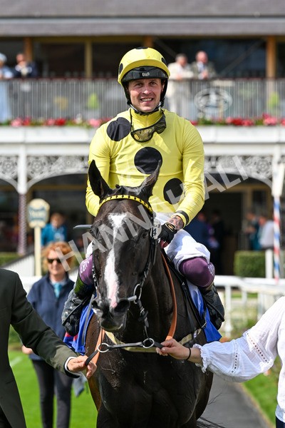 260725-Race 3-Royal Champion-0537 - Race 3 2.40pm Sky Bet York Stakes