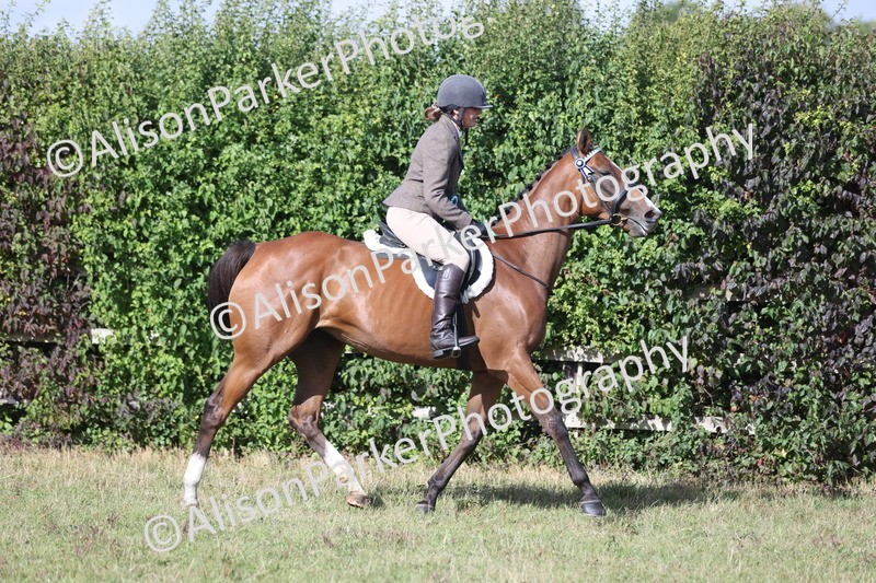 20250831-0959 - Class 14 - Ex Racehorse