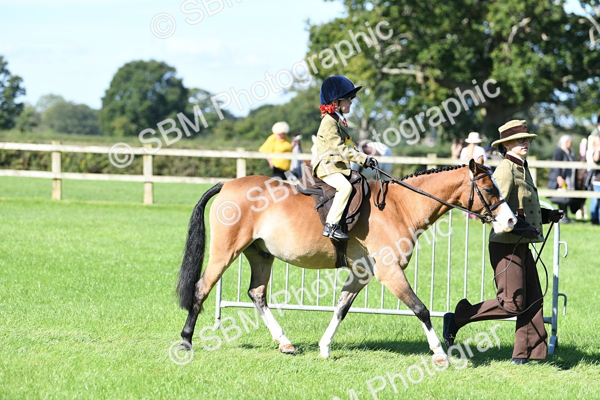 SBM_37115 - S18 - Novice & Newcomers Lead Rein Pony