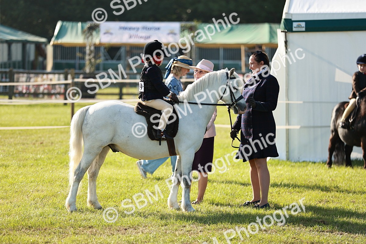 SBM_11091 - Class 106-107 - BSPS LIHS Working Sports Pony