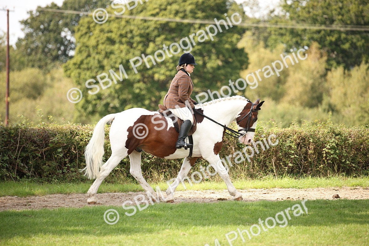 SBM_70068 - S65 - Piebald & Skewbald Horse Ridden