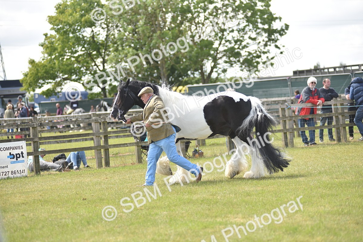 SBM_16090 - Class 117-122 - SSADL RIHS Qualifier