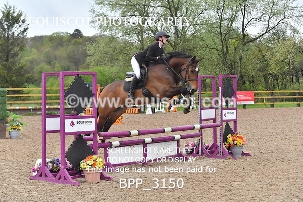 BPP_3150 - CLASS 12 SUN Club/ Unaffiliated 80cms Open