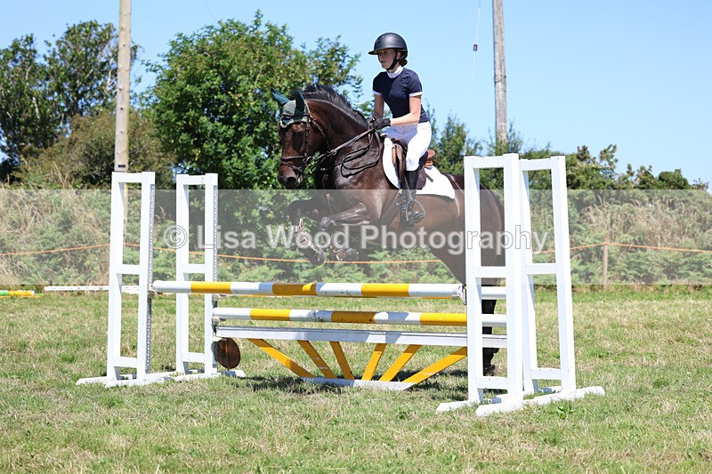 3E7A5523 - Class 9: Senior British Novice/90cm open