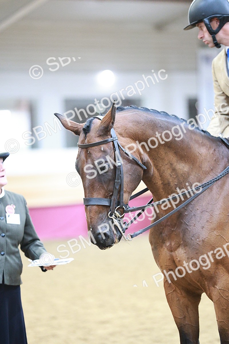 SBM_08865 - Class 12R - Regional Ridden Pre-Vet