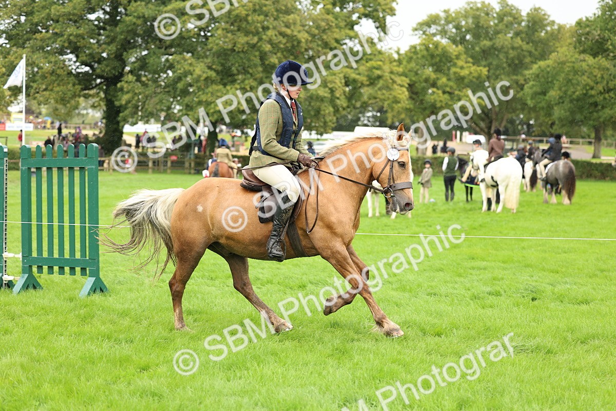 1I0A1448 - S32 - Mountain & Moorland Working Hunter Pony