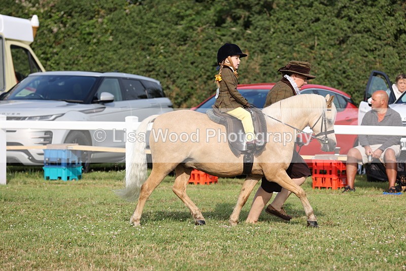 JPP_0265 - Class 14: Cornish Combination Leading Rein