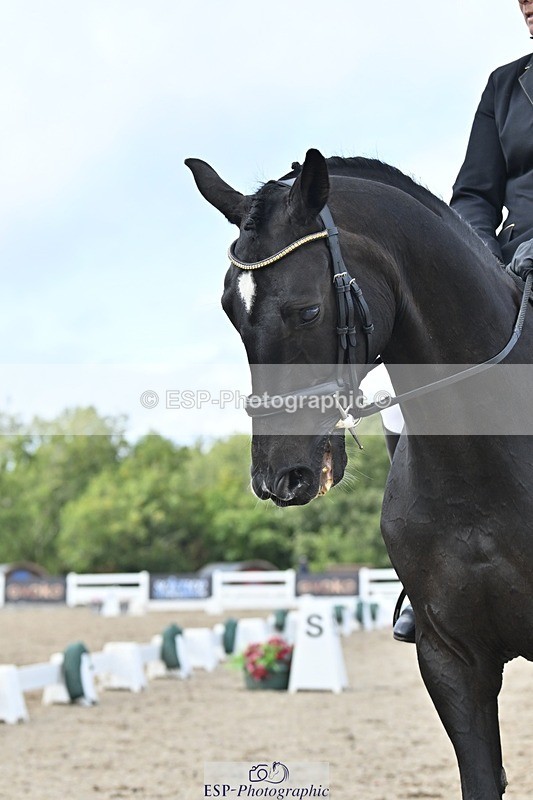 250907-161315-10478 - 123-Sam.YorkOakring.Santino